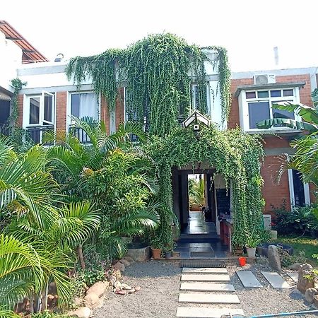 Wow Farm House أورفيلا المظهر الخارجي الصورة